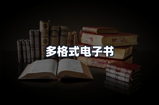 多格式电子书